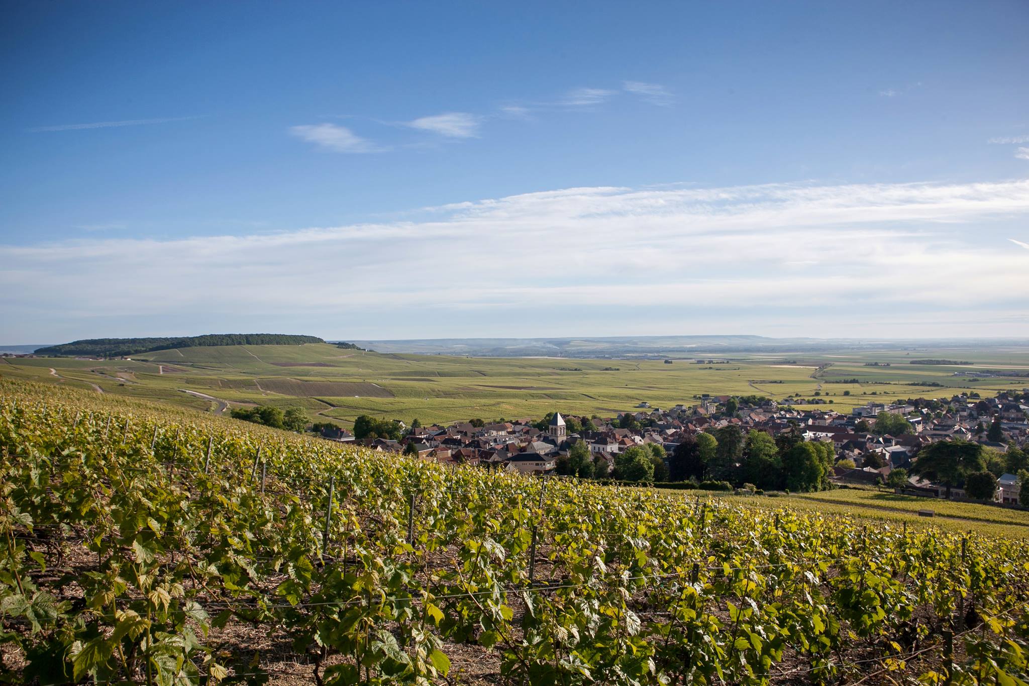 フランク・ボンヴィルの写真3