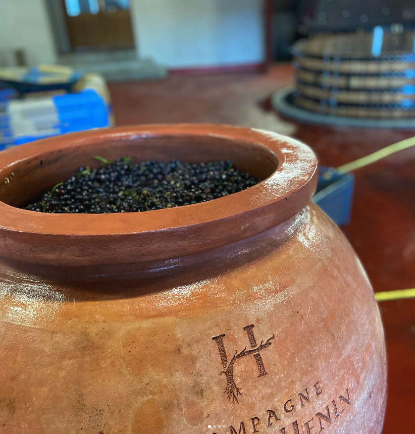 ロマン・エナンの写真3