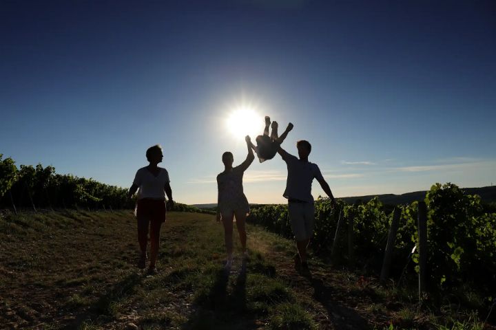 ステファン・フェーヴルの写真1