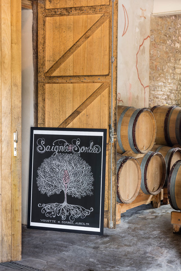 ヴェット・エ・ソルヴェの写真3