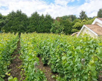 ブリジット・ファロンの写真3