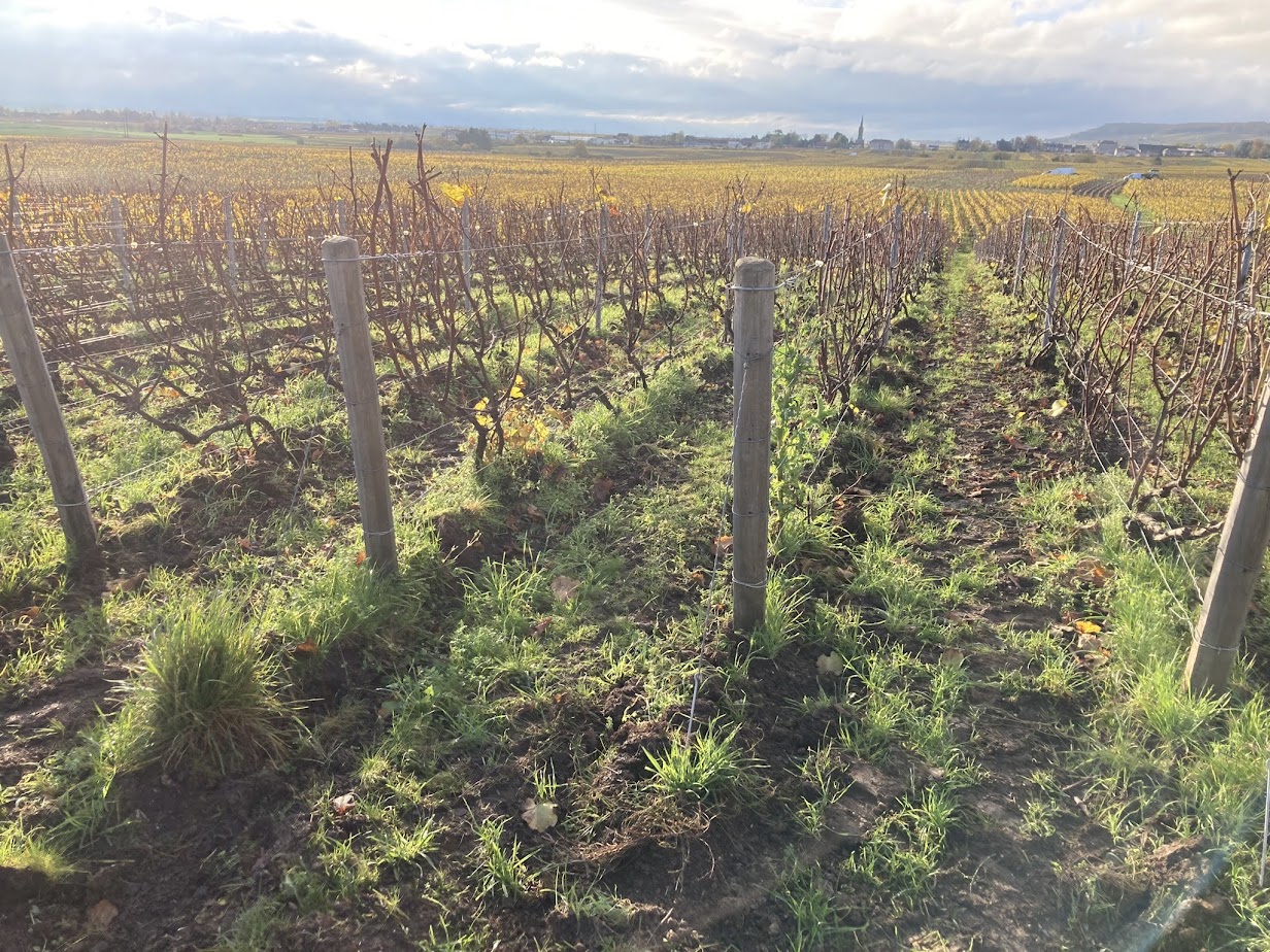 メゾン・パチュールの写真2