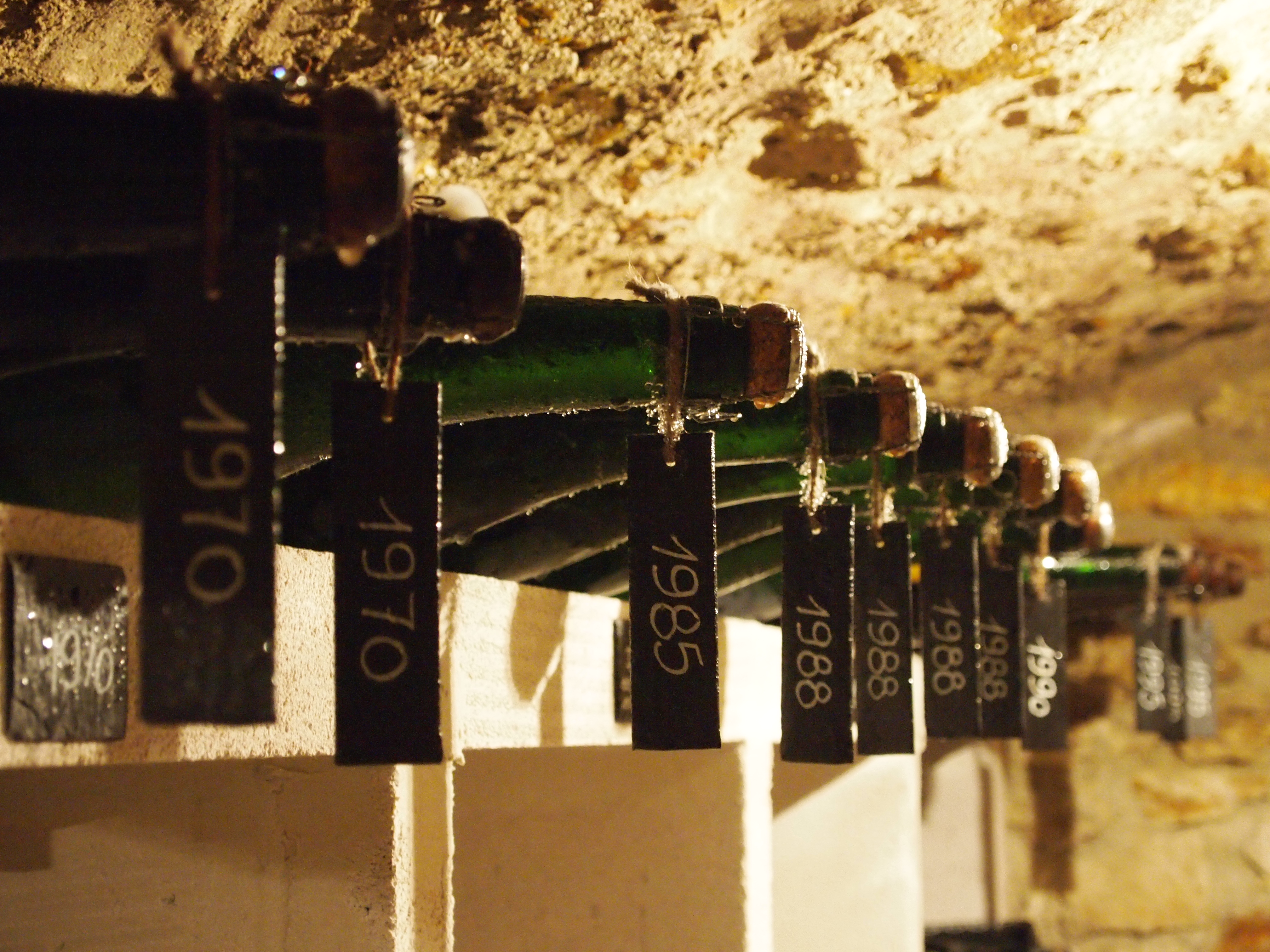 ピエール・ペテルスの写真1