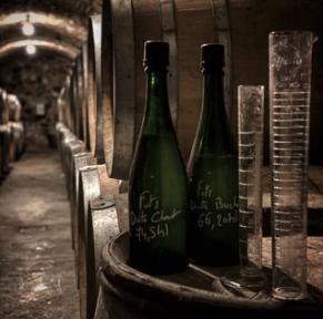 シャルトーニュ・タイエの写真2