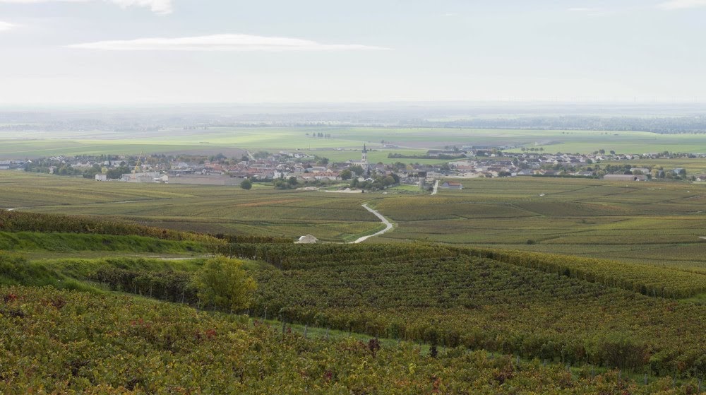 ジョルジュ・レミの写真3