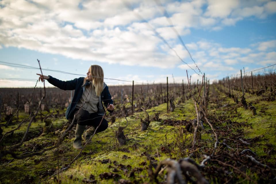 アンリオの写真3