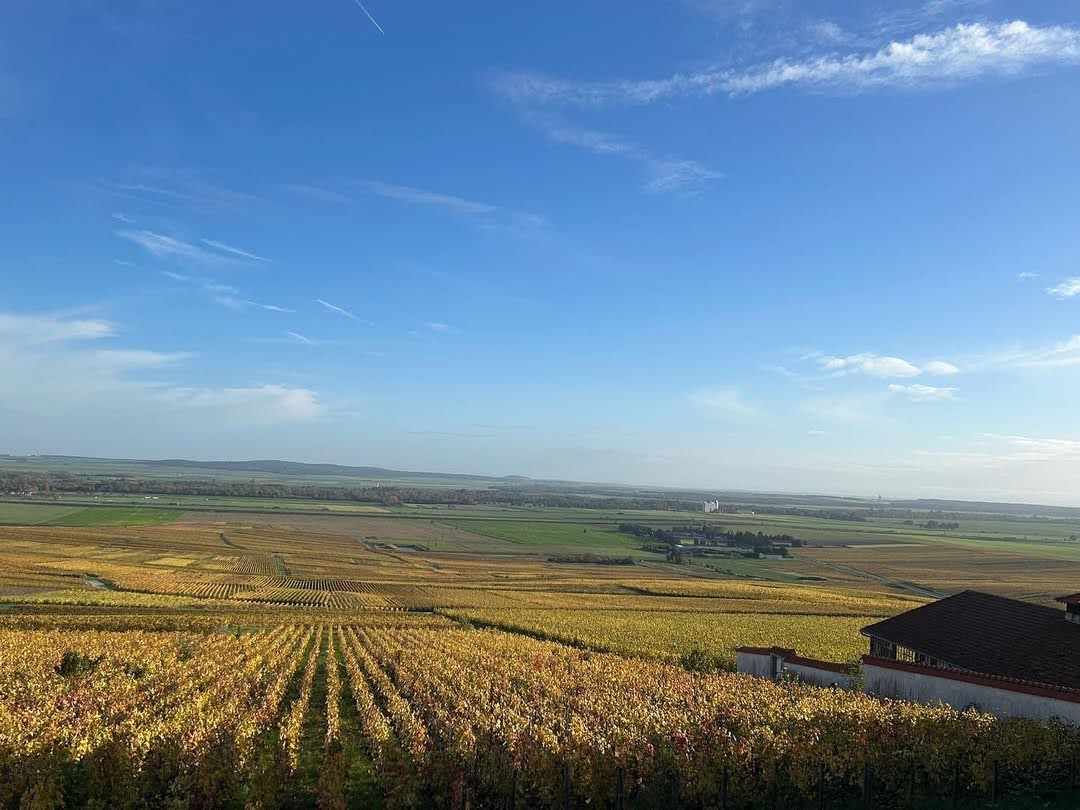 サシー・スール・エ・フレールの写真2