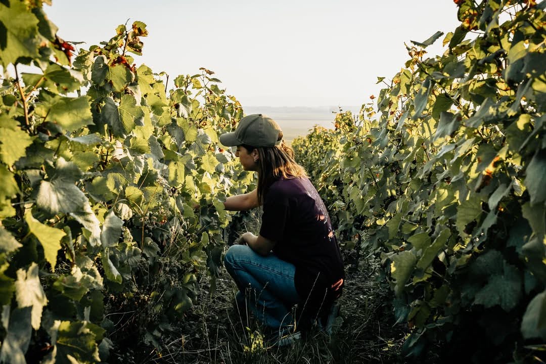 サシー・スール・エ・フレールの写真3