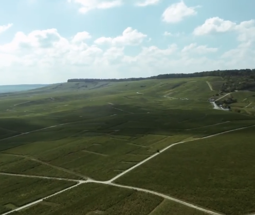 ドゥーツの写真1