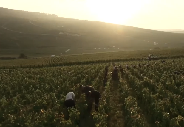 ドゥーツの写真2