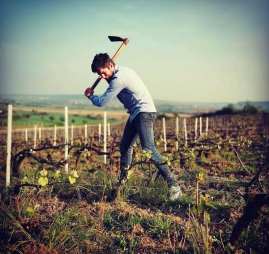 ファミーユ・ドルヴァンの写真1