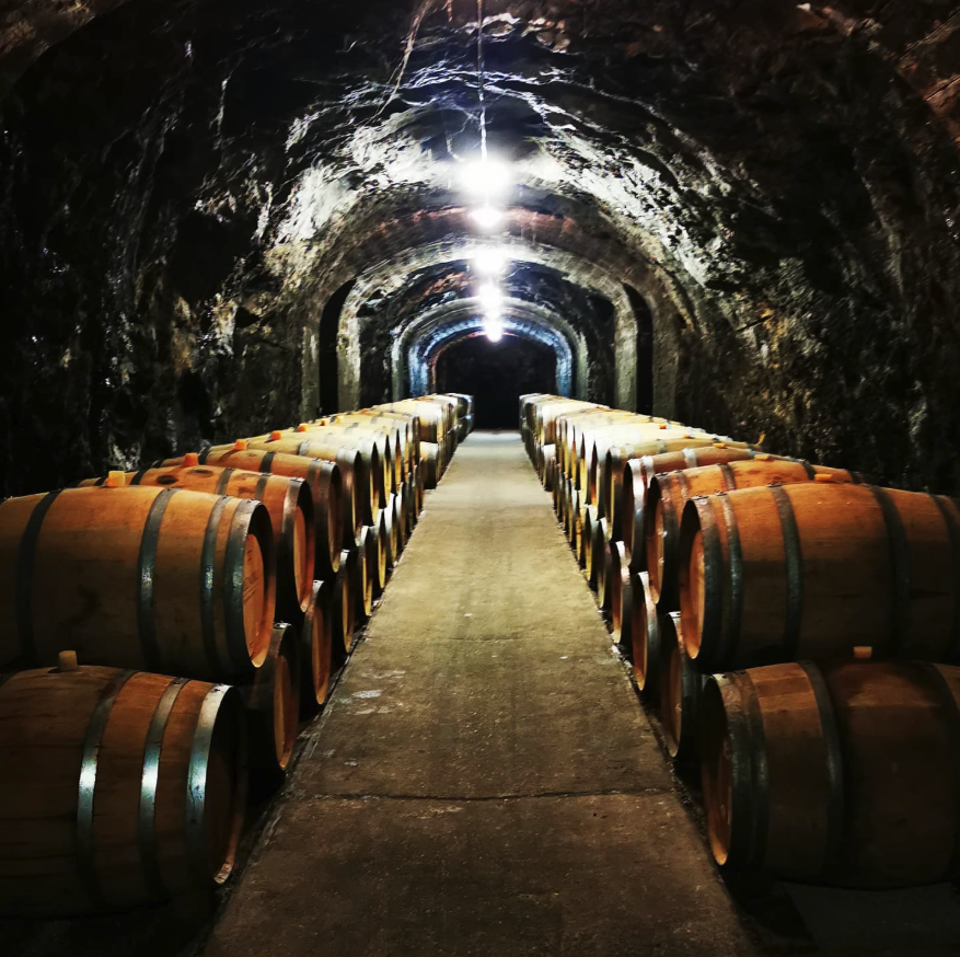 ファミーユ・ドルヴァンの写真3