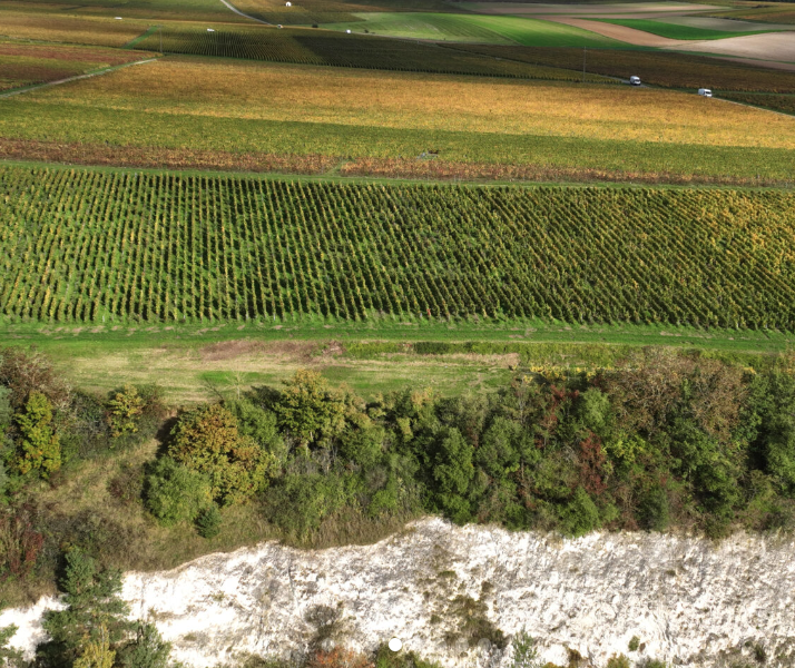 エレーヌ・シャルボの写真2