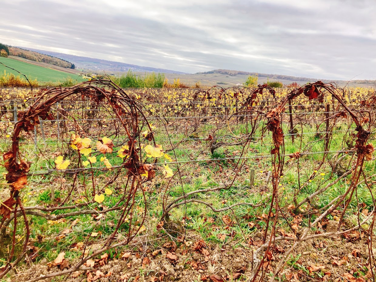 メゾン・ラディの写真1