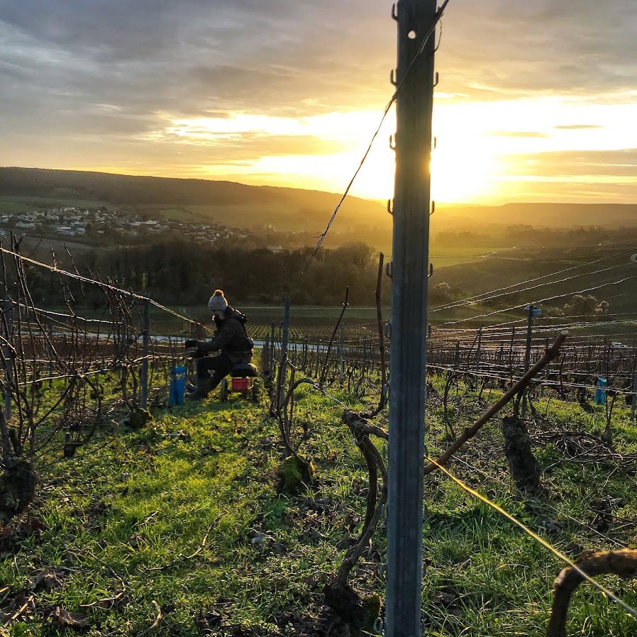 マチルド・サヴォイの写真1