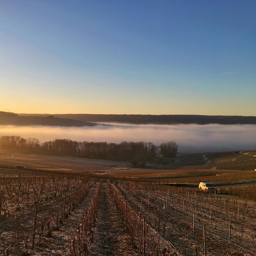 マチルド・サヴォイの写真2
