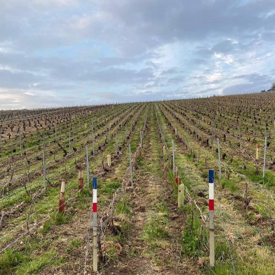 マチルド・サヴォイの写真3