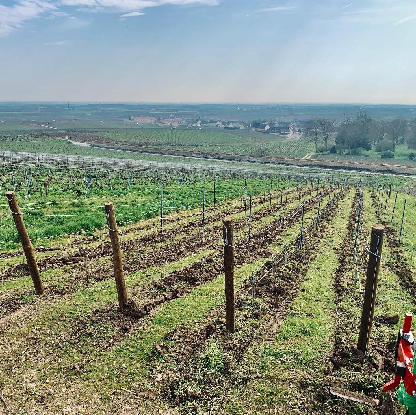 モーリス・ショパンの写真2