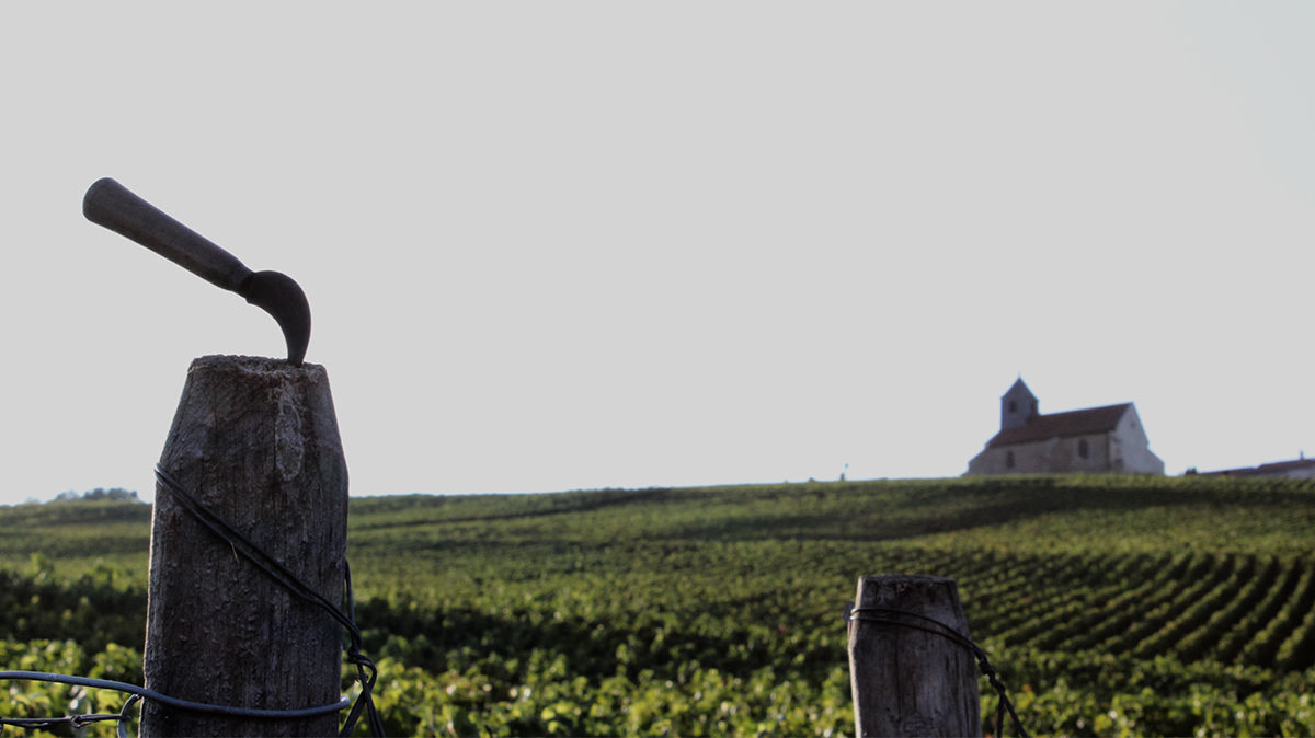 エール・プイヨン・エ・フィスの写真1