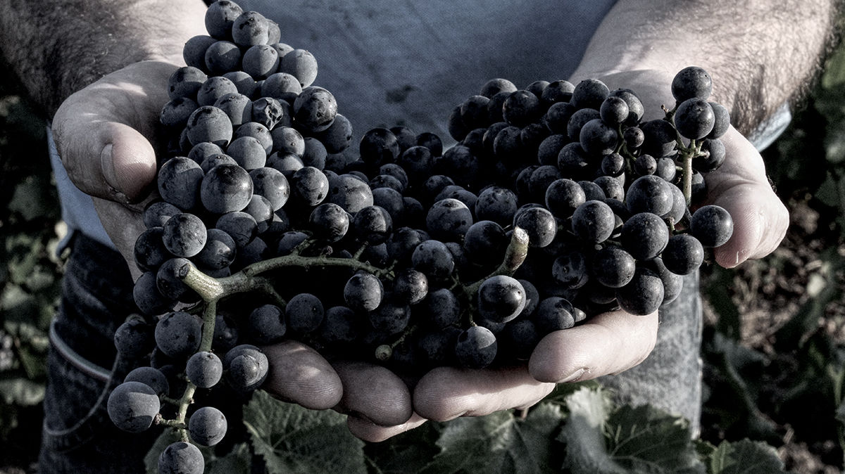 エール・プイヨン・エ・フィスの写真3