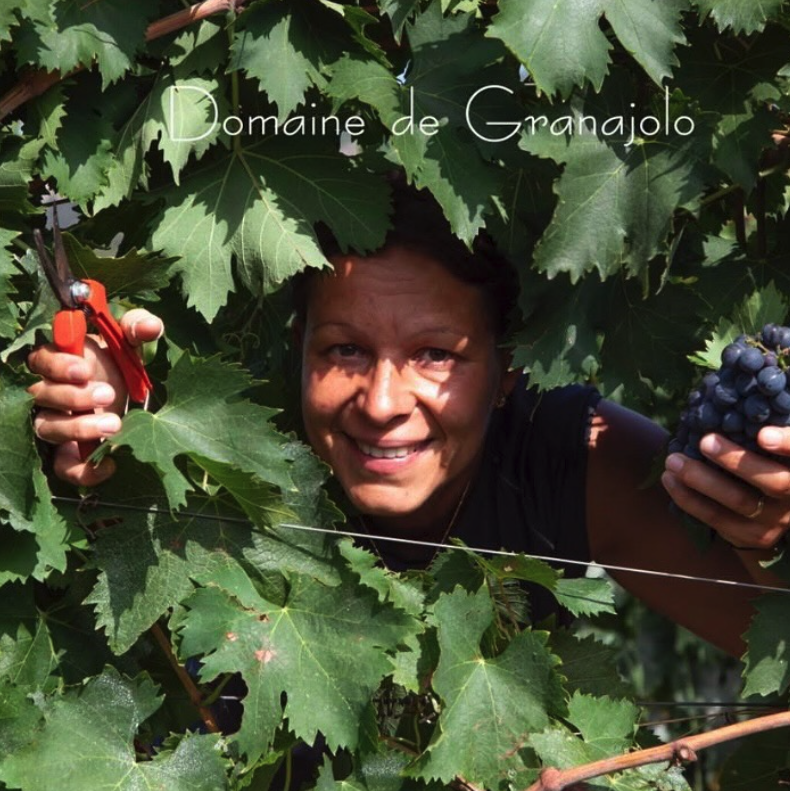 ドメーヌ・ド・グラナイオーロの写真2