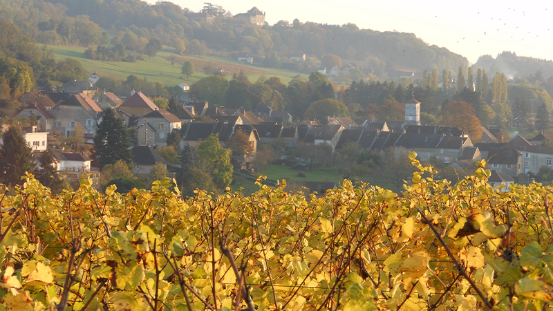 クリスチャン・エ・パトリシア・ペシュールの写真1