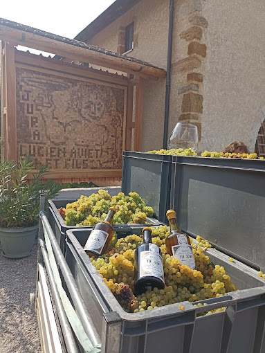 ドメーヌ・リュシアン・アヴィエの写真3