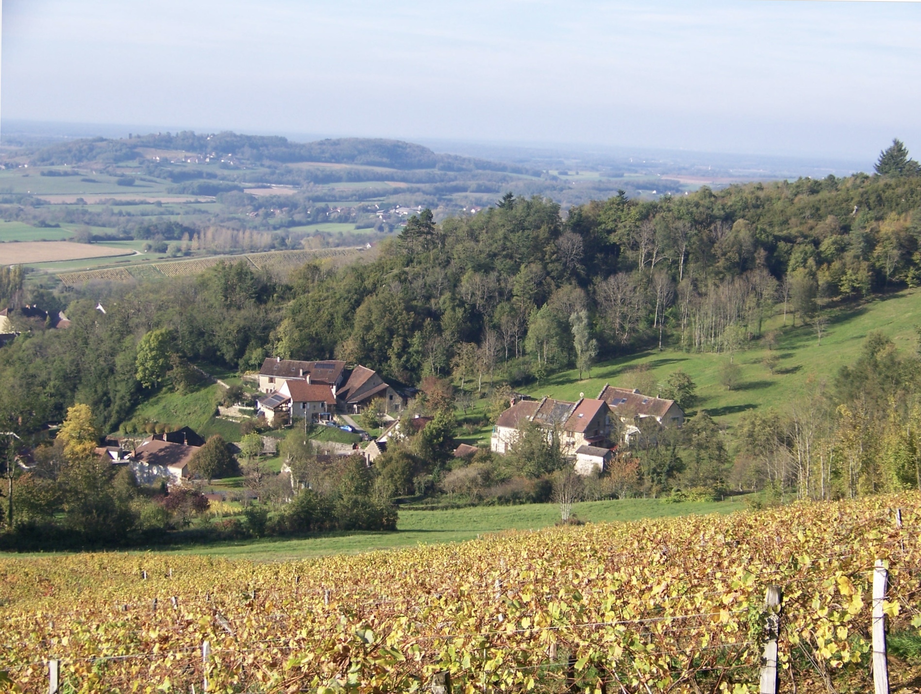 ジャン・トレシー・エ・フィスの写真3