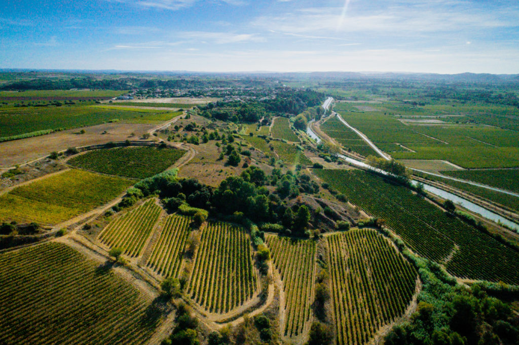 シャトー・パラザの写真2