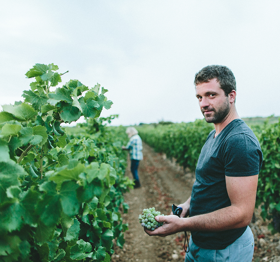 シャトー・パラザの写真3