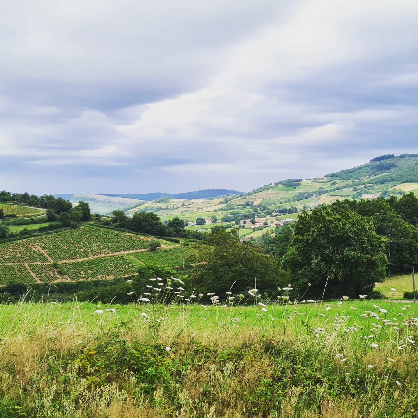 シャトー・ギオの写真1