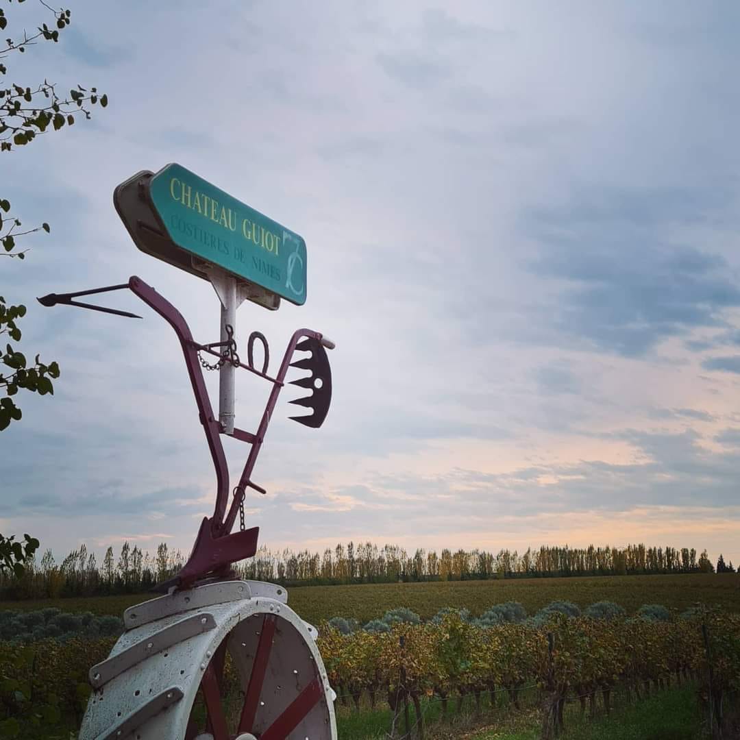 シャトー・ギオの写真3