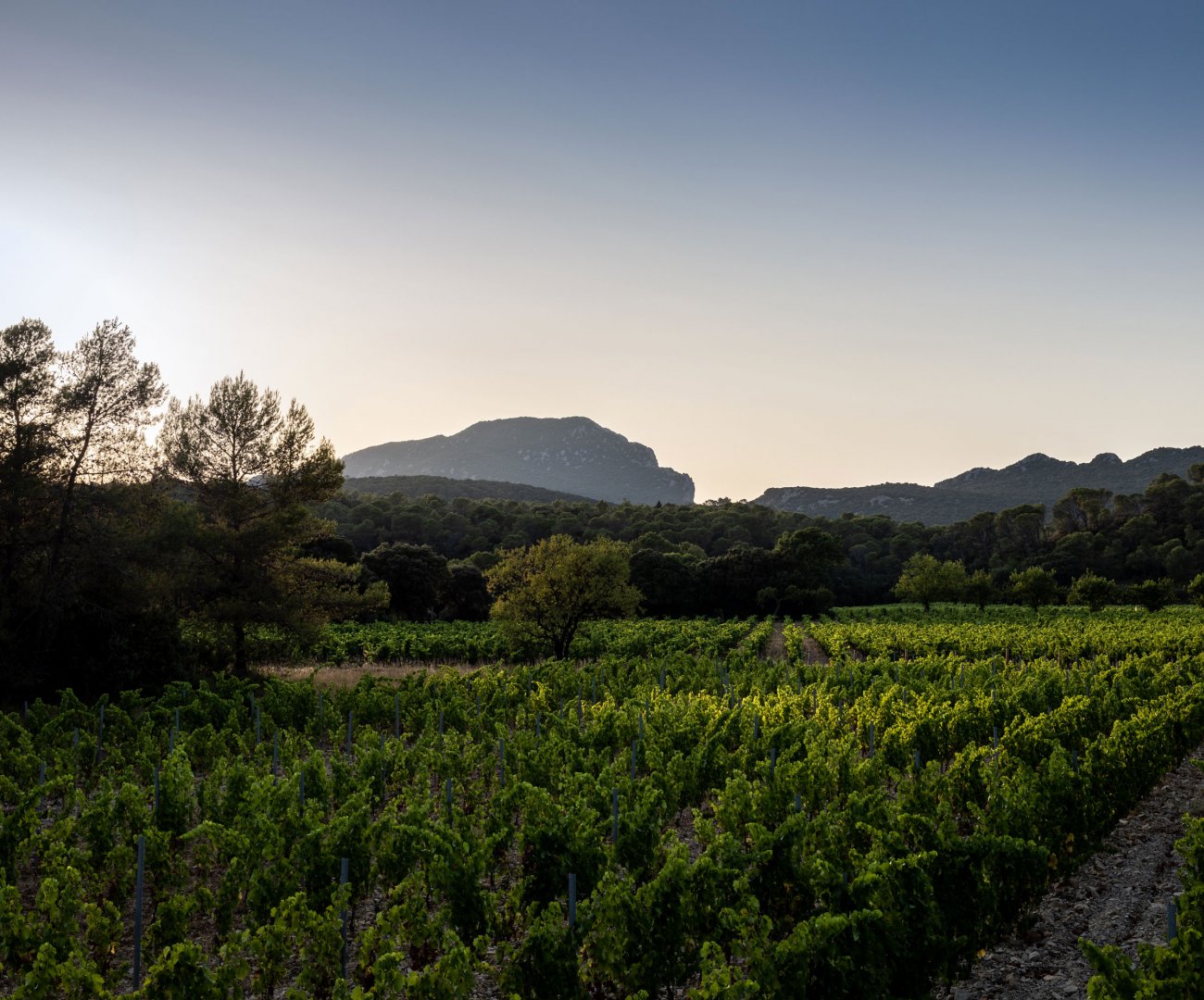 ドメーヌ・クラヴェルの写真1