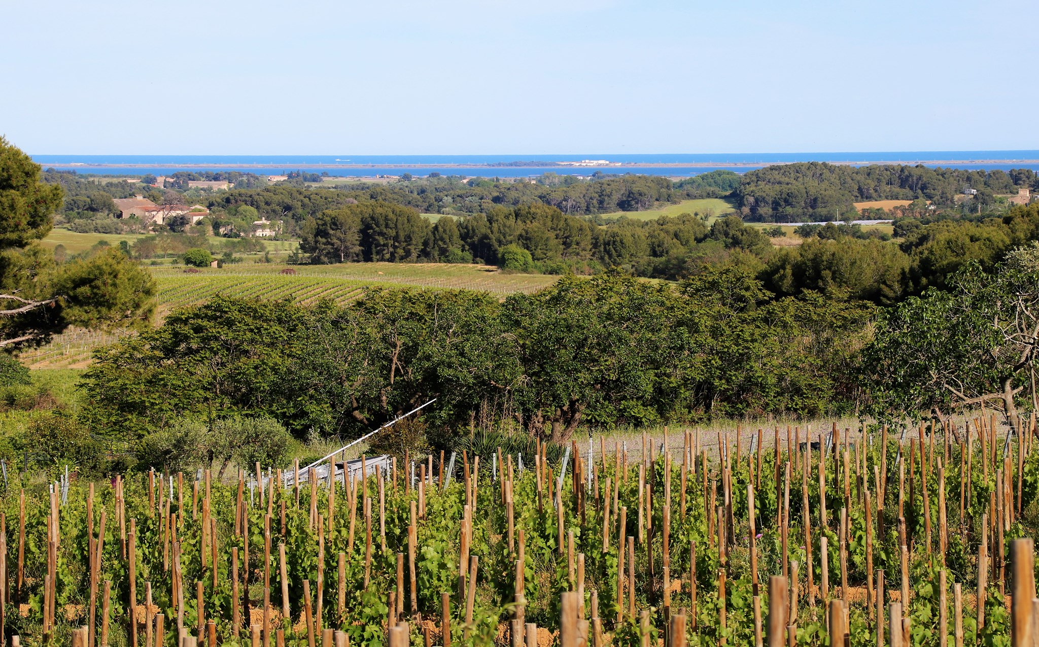 ラ・クロワ・グラシオの写真1