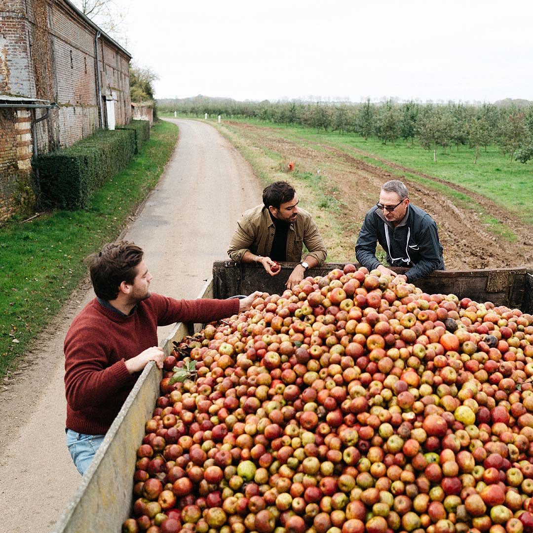 フィス・ド・ポムの写真3
