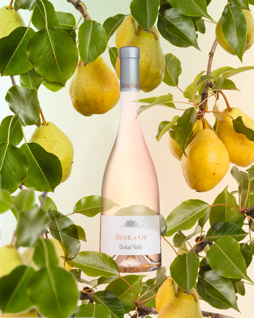 シャトー・ミニュティーの写真1