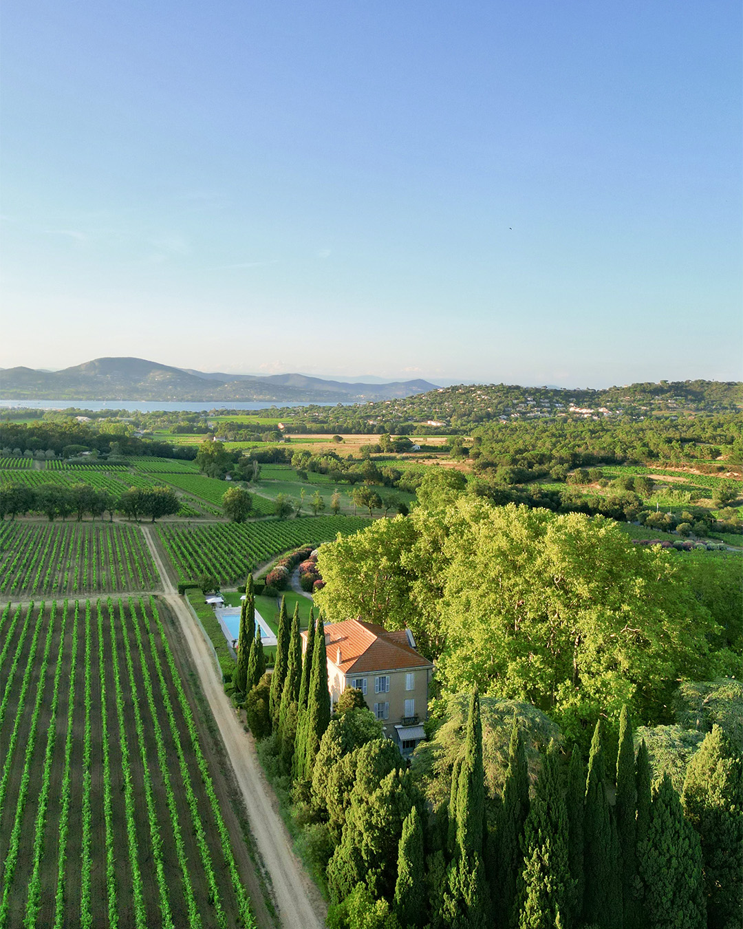 シャトー・ミニュティーの写真3