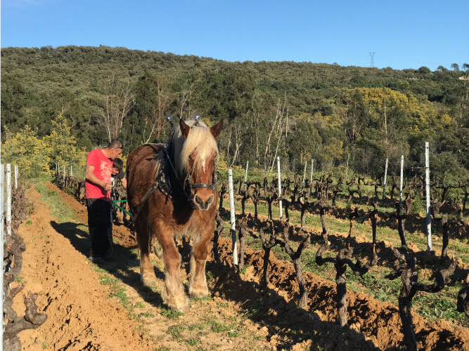 クロ・デ・ベの写真1