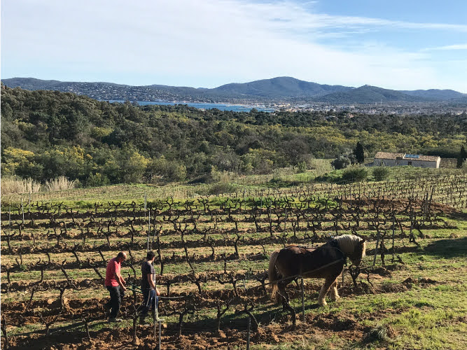 クロ・デ・ベの写真2