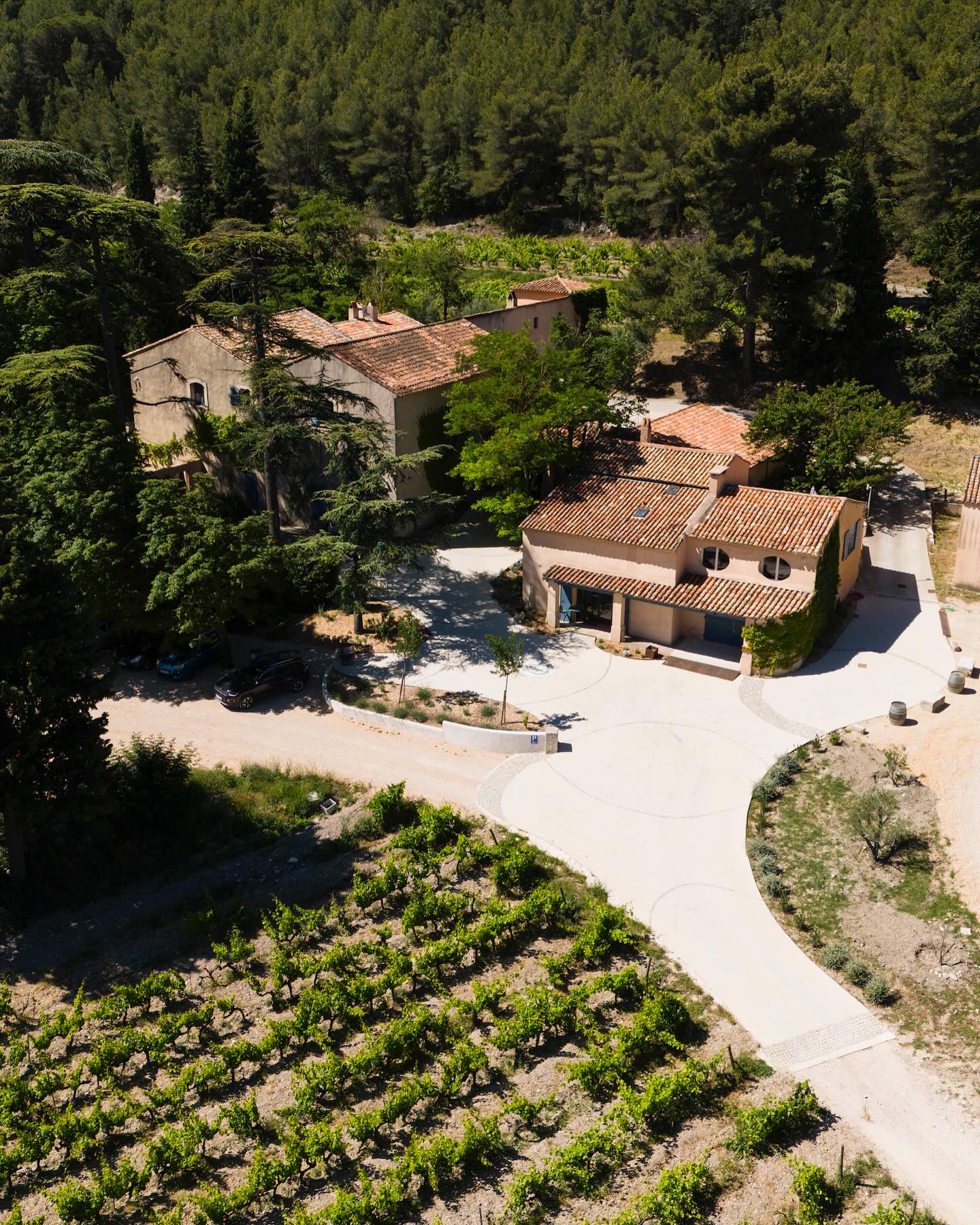 ドメーヌ・デュ・バルバノーの写真2