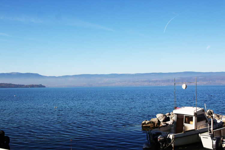 ドメーヌ・メルシエの写真1