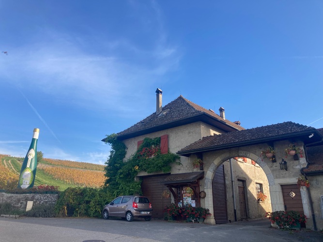 ドメーヌ・メルシエの写真2