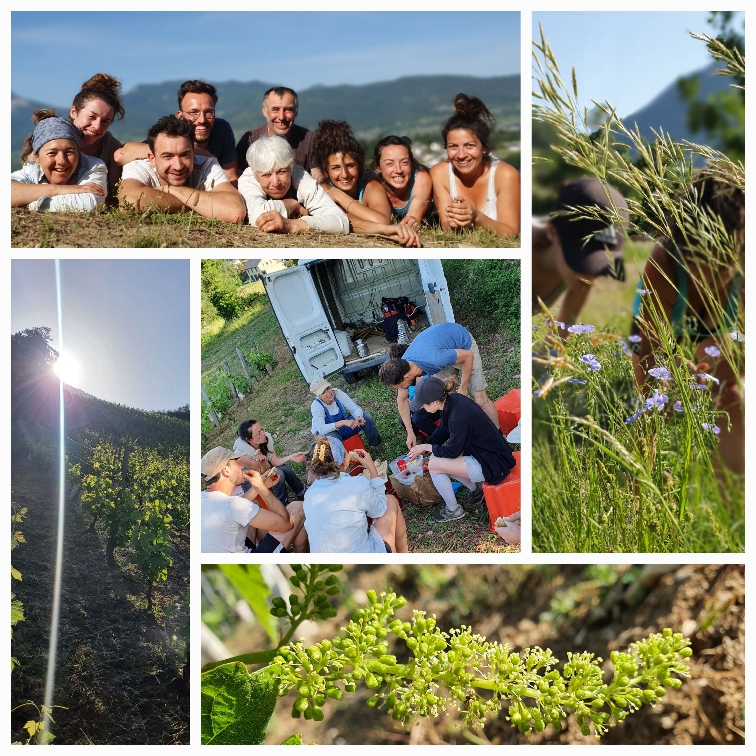 ドメーヌ・パルタジェ・ジル・ベルリオーズの写真3