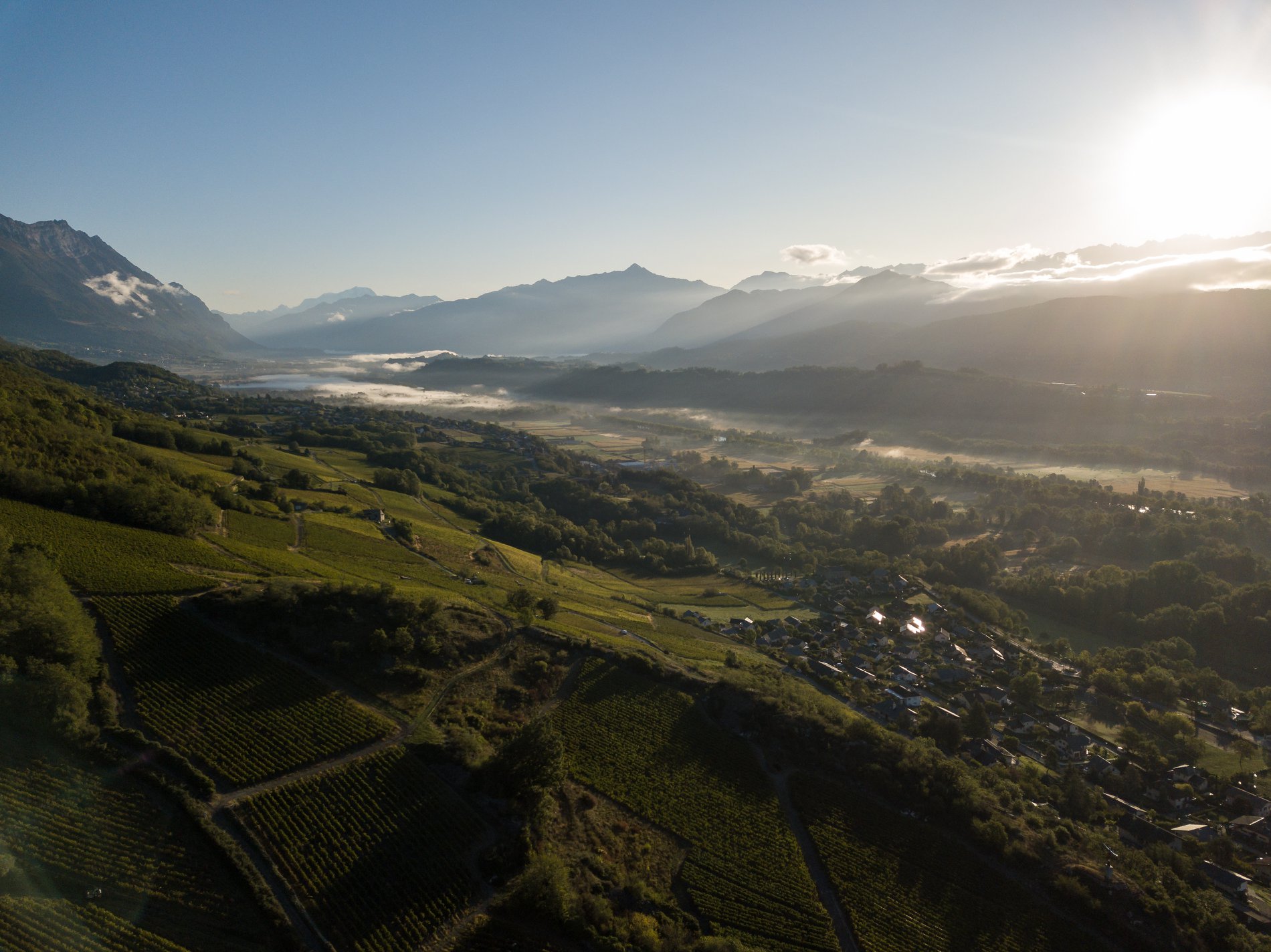 ファビアン・トロセの写真1
