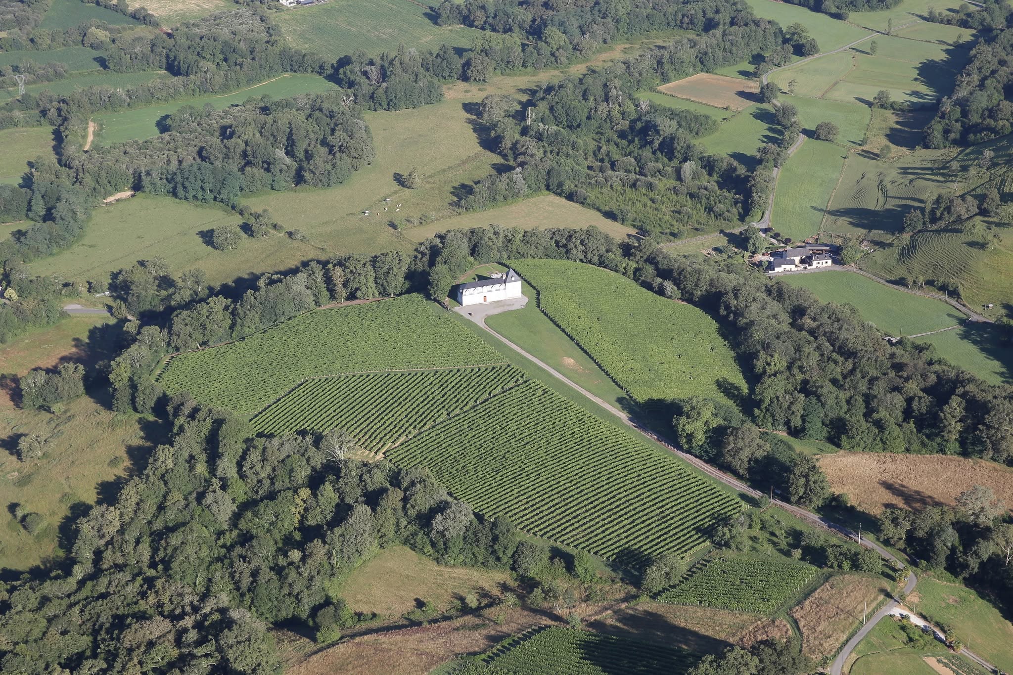 カーヴ・デ・プロダクトゥール・ド・ジュランソンの写真2