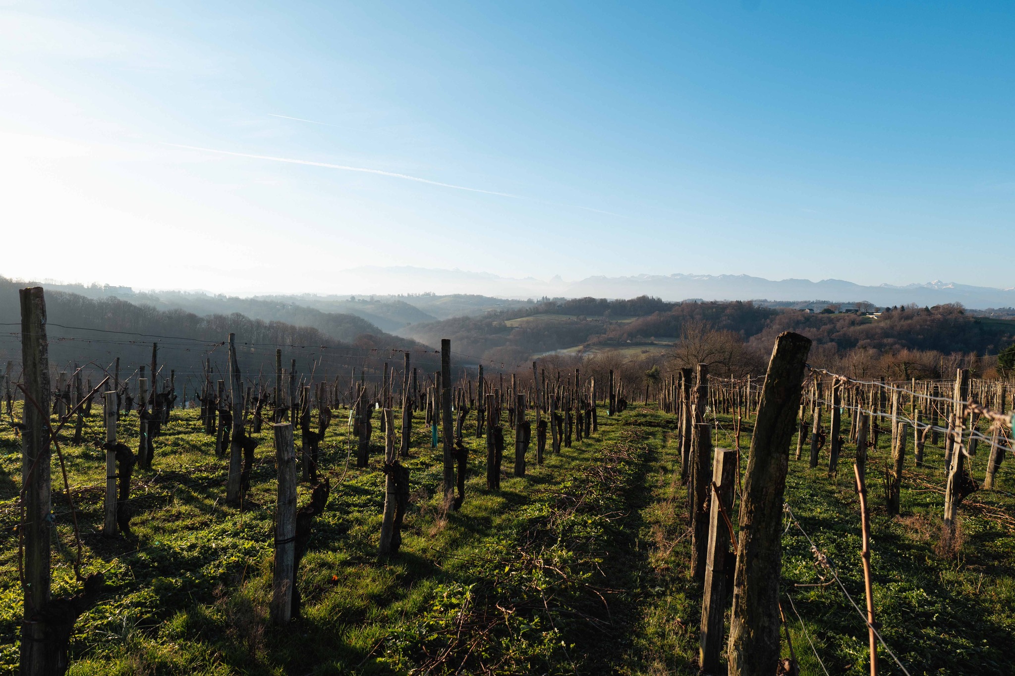 カーヴ・デ・プロダクトゥール・ド・ジュランソンの写真3