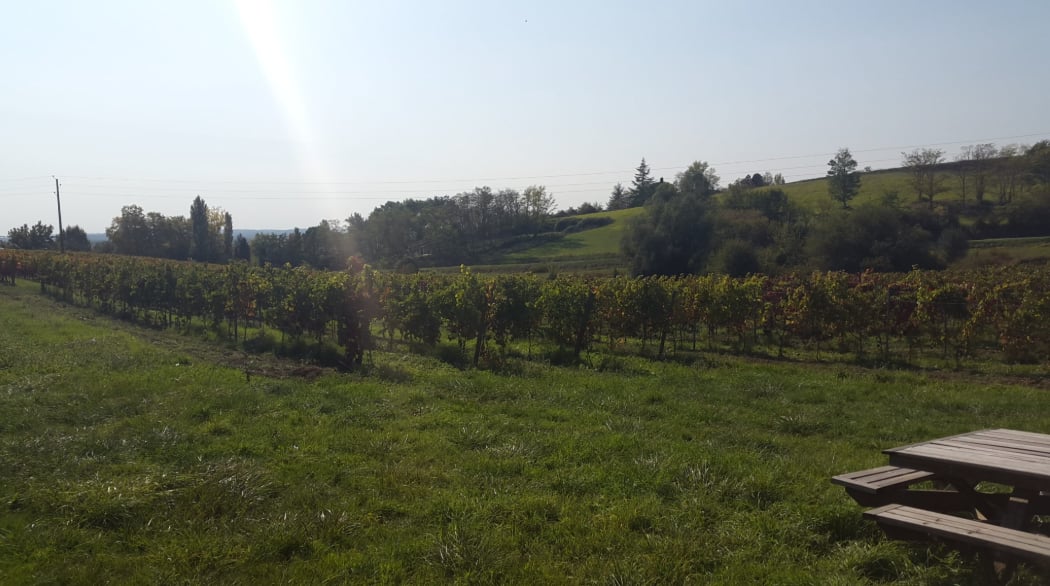 ドメーヌ・ボネの写真2