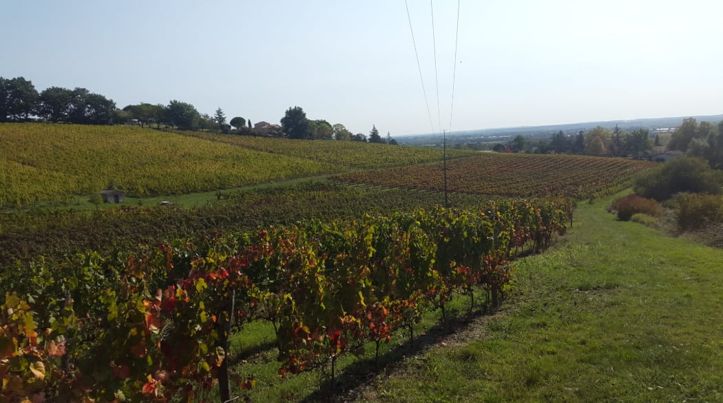 ドメーヌ・ボネの写真3