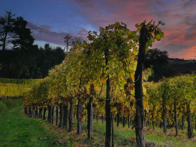 ドメーヌ・クロ・ラペイルの写真1