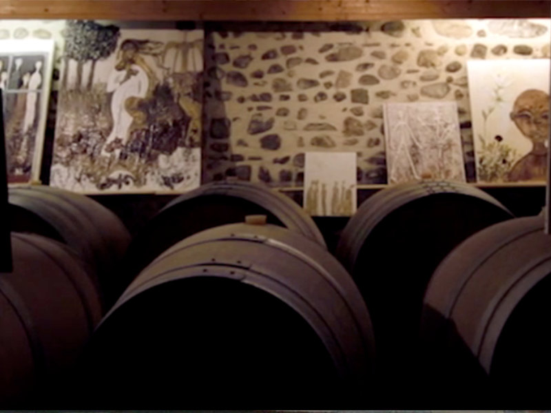 ドメーヌ・クロ・ラペイルの写真3